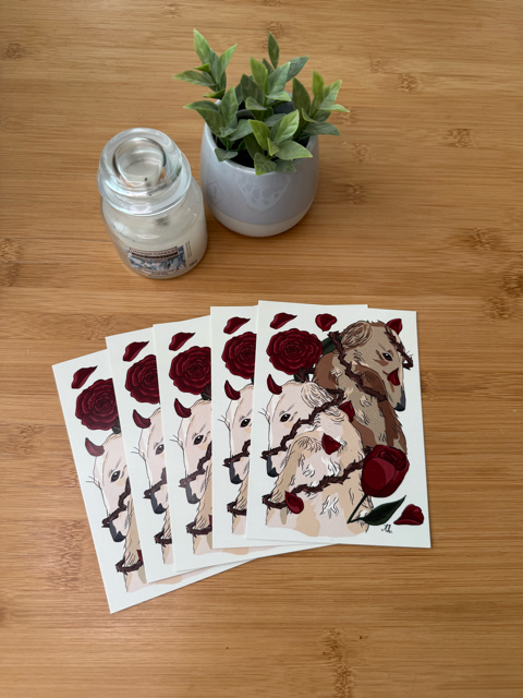 Pohled Chrti |Trochu hezčí