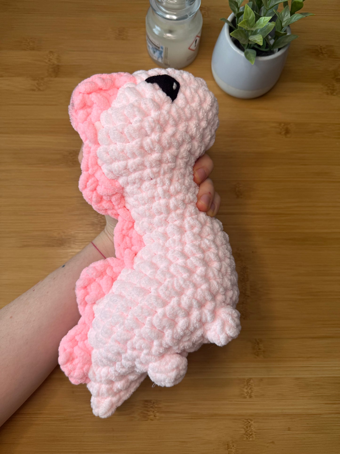 Háčkování dinosauři dva druhy